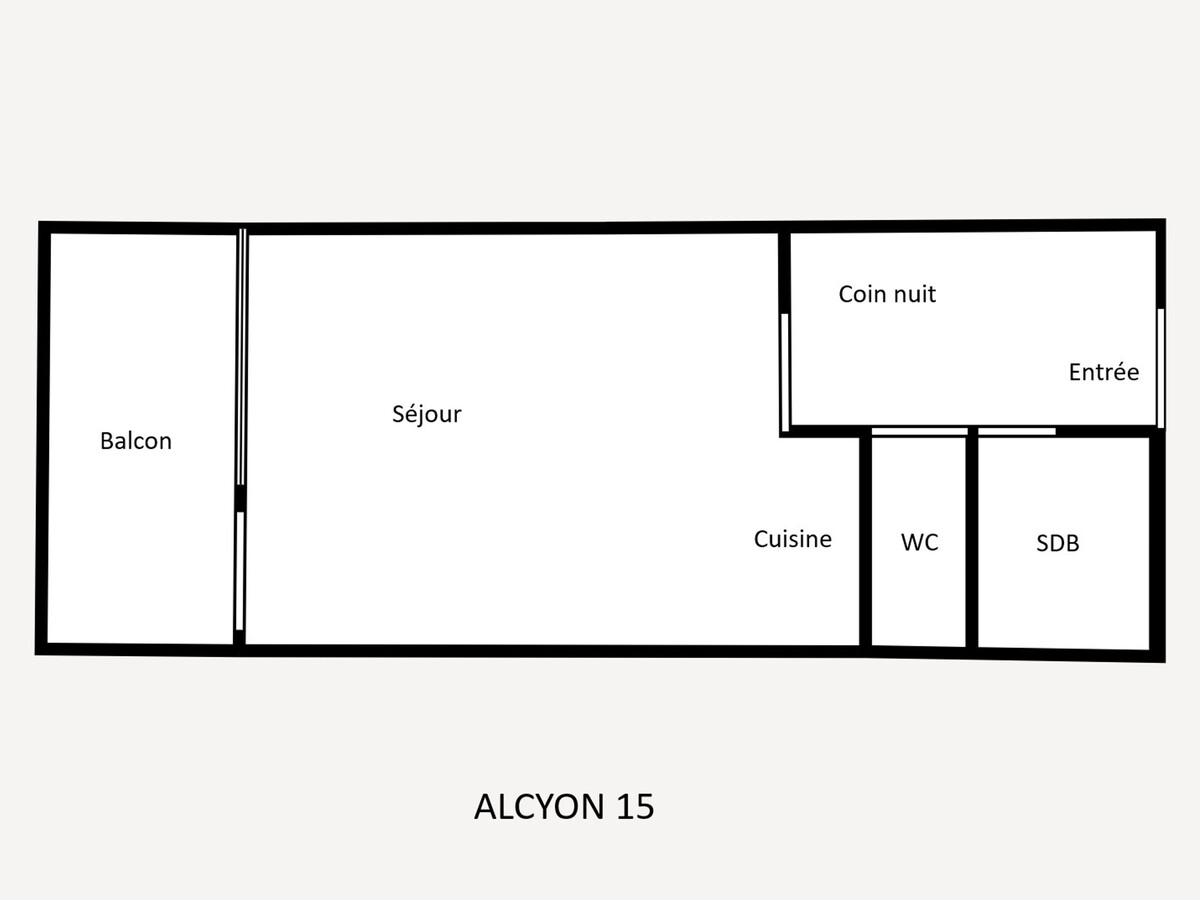 Studio 21 m² avec balcon sud, garage et animaux admis - Photo 12