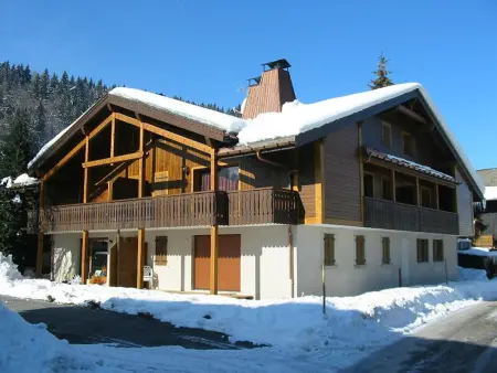 Duplex 10 pers., 3 chambres, garage à Morzine : photo 11