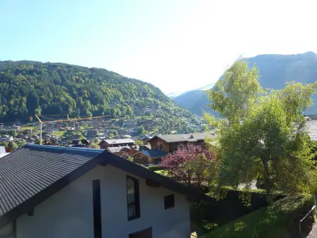 Appartement 2 pièces Morzine, animaux admis, balcon : photo 11