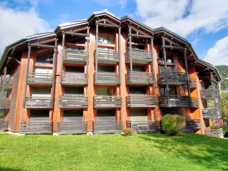 Appart 2 pièces Morzine, 6 pers, balcon sud-ouest : photo 10