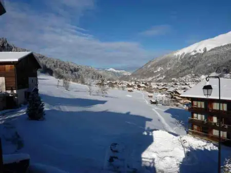 Appartement 3 pièces rénové à Morzine, 350m du centre : photo 8