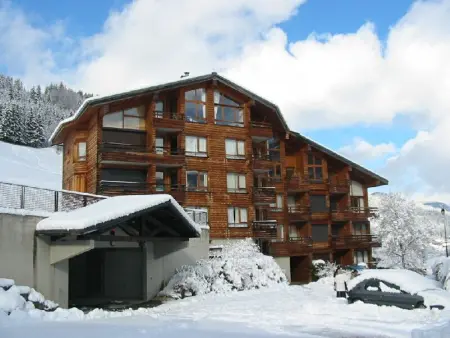 Appartement 3 pièces rénové à Morzine, 350m du centre : photo 10