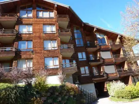 Appartement 3 pièces rénové à Morzine, 350m du centre : photo 11