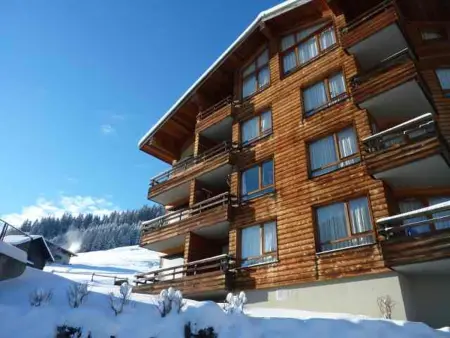 Appartement 3 pièces rénové à Morzine, 350m du centre : photo 12
