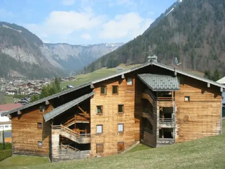 Appartement 3 pièces rénové à Morzine, 350m du centre : photo 13