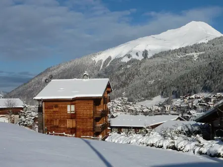 Appartement 3 pièces rénové à Morzine, 350m du centre : photo 16