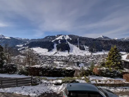 Appartement 2 pièces vue panoramique à Morzine : photo 6