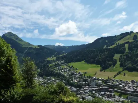 Appartement 2 pièces vue panoramique à Morzine : photo 11