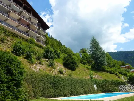 Appartement 2 pièces vue panoramique à Morzine : photo 12