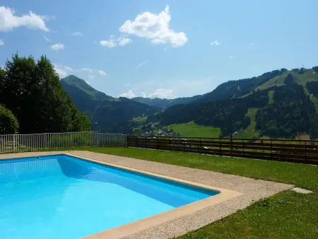 Appartement 2 pièces vue panoramique à Morzine : photo 13