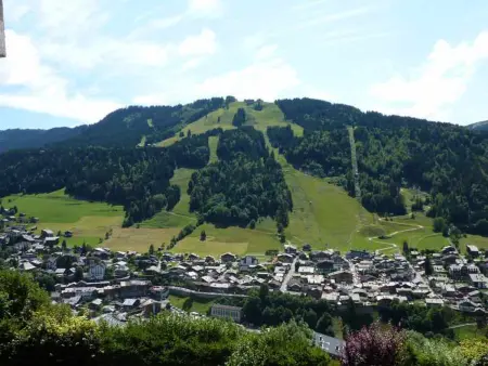 Appartement 2 pièces vue panoramique à Morzine : photo 14