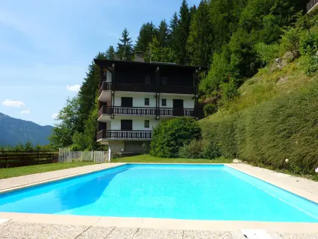 Appartement 2 pièces vue panoramique à Morzine : photo 15