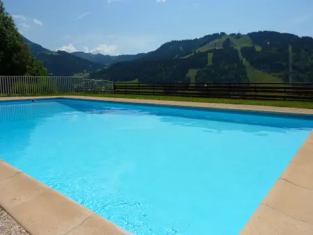 Appartement 2 pièces vue panoramique à Morzine : photo 17