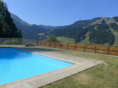 Appartement 2 pièces vue panoramique à Morzine : photo 18