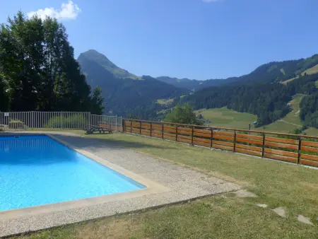 Appartement 2 pièces vue panoramique à Morzine : photo 20