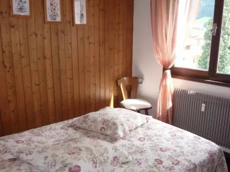 Appartement 2 pièces centre station, animaux acceptés : photo 8