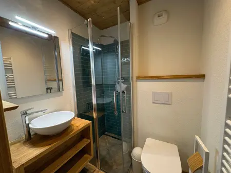 Appartement 3 pièces neuf à 100m des pistes, Hauteluce : photo 9