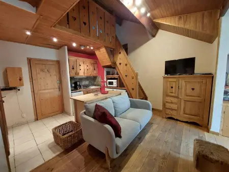 Location appartement à Les Deux Alpes, Charmant Duplex Montagne aux Deux Alpes avec Sauna et Wifi