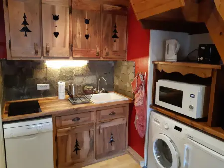 Duplex 43m² aux Deux Alpes avec sauna privatif : photo 3
