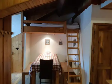 Duplex 43m² aux Deux Alpes avec sauna privatif : photo 4