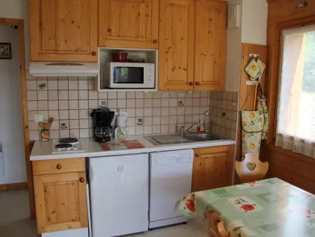 Appartement 6 pers. avec terrasse sud, Saint-Jean-de-Sixt : photo 3