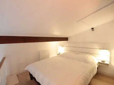 Duplex 2P/4 avec balcon sud et parking aux Carroz : photo 7