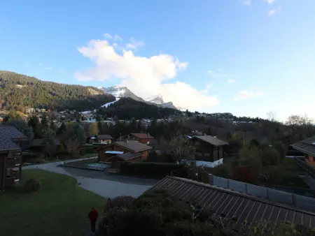 Duplex 2P/4 avec balcon sud et parking aux Carroz : photo 9