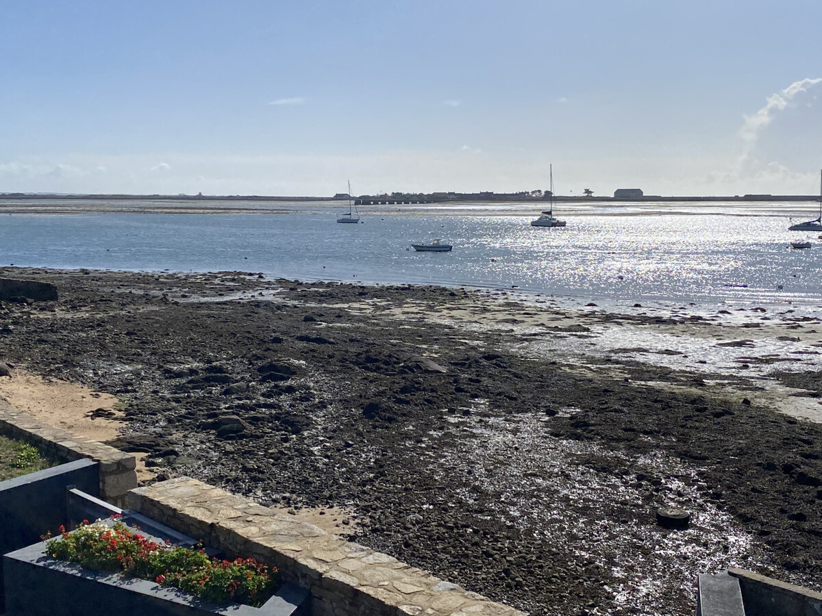 T2 Port-Louis vue mer, terrasse et parking privé - Photo 27