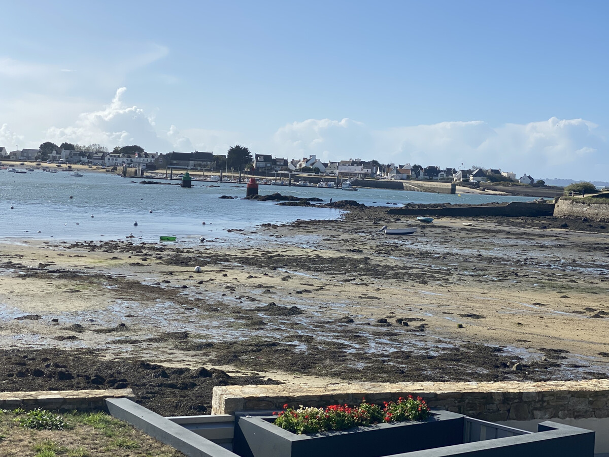 T2 Port-Louis vue mer, terrasse et parking privé - Photo 28