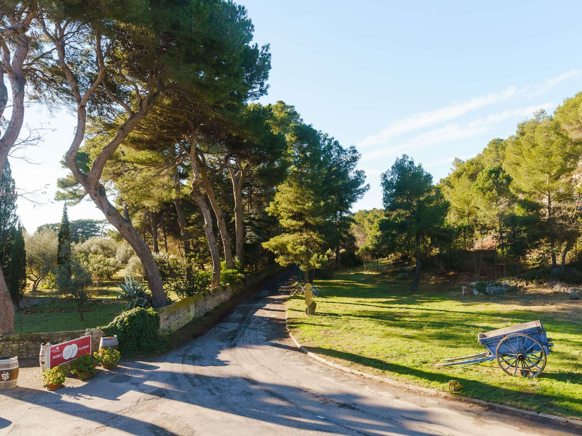 Appartement 105 m² dans domaine viticole, 3 km Narbonne-Plage - Photo 14
