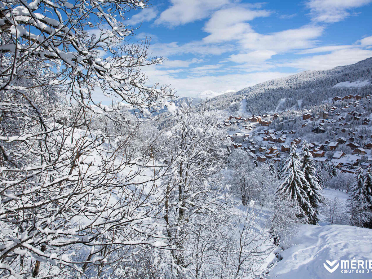 Appart 2P skis aux pieds, vue Mont Vallon - Méribel - Photo 20