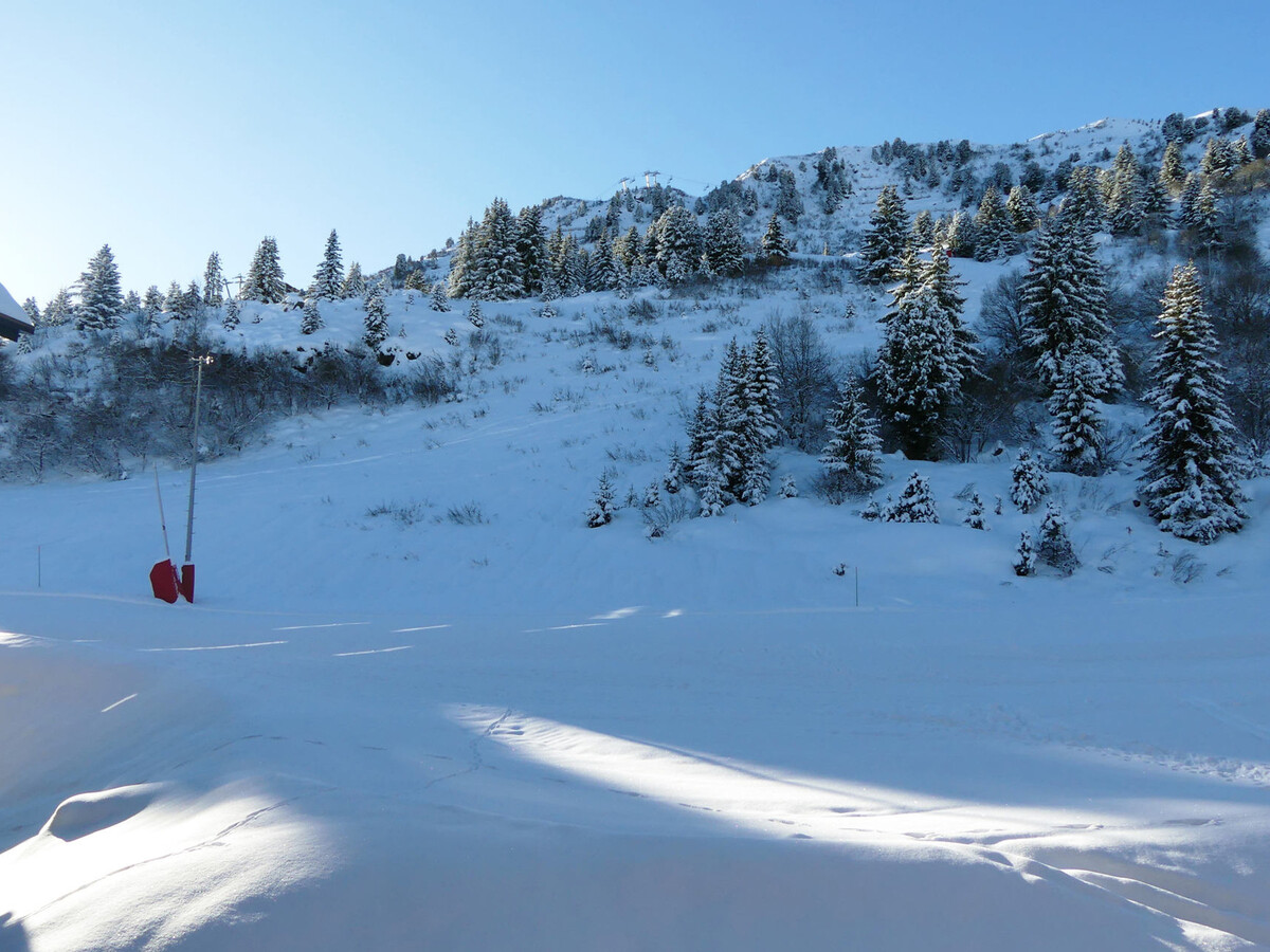 Appartement 2 pièces aux pieds des pistes à Méribel - Photo 10