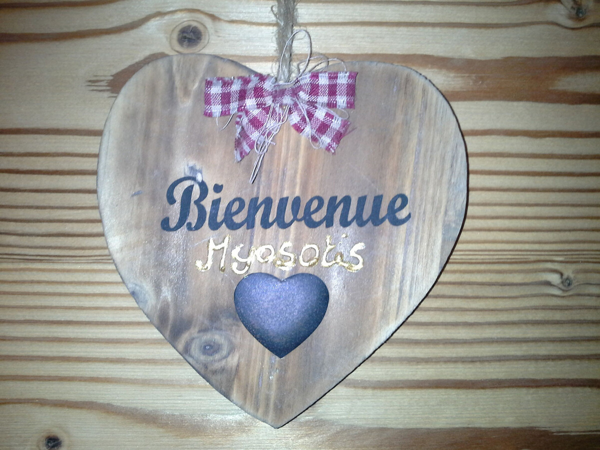 Studio cabine 4 pers Valloire, terrasse Sud, animaux OK - Photo 13
