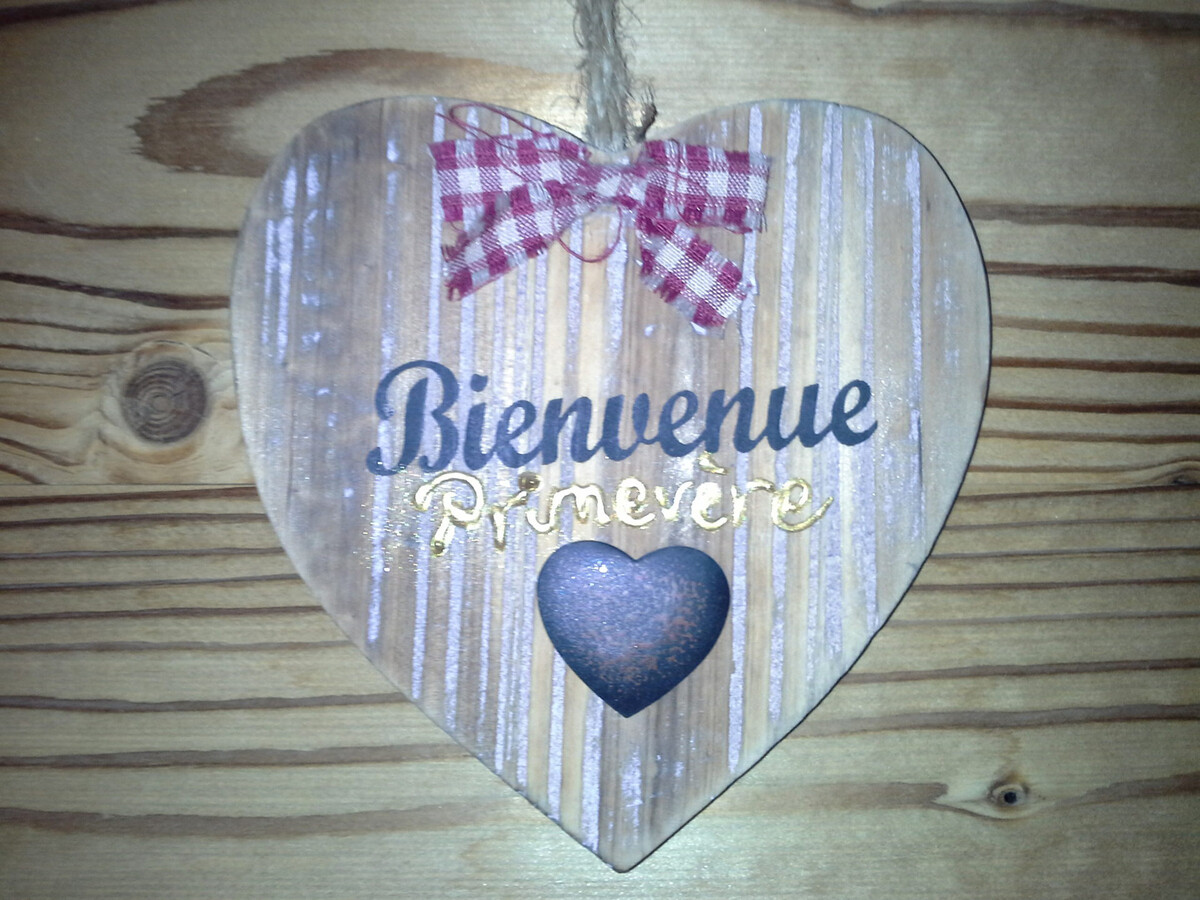 Appartement 3 chambres à Valloire, animaux acceptés - Photo 13