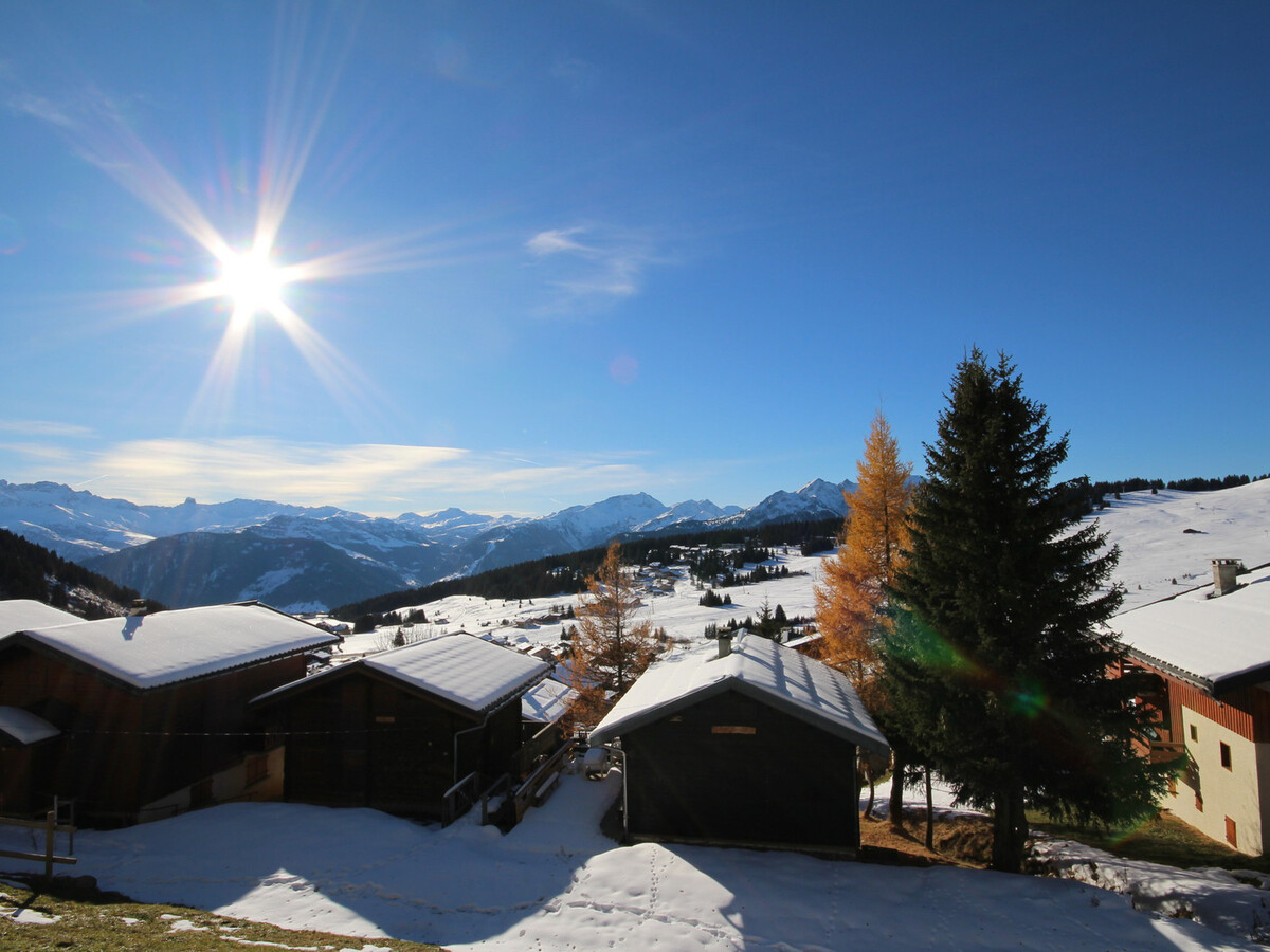 Studio 19 m² vue pistes aux Saisies, balcon, animaux OK - Photo 10