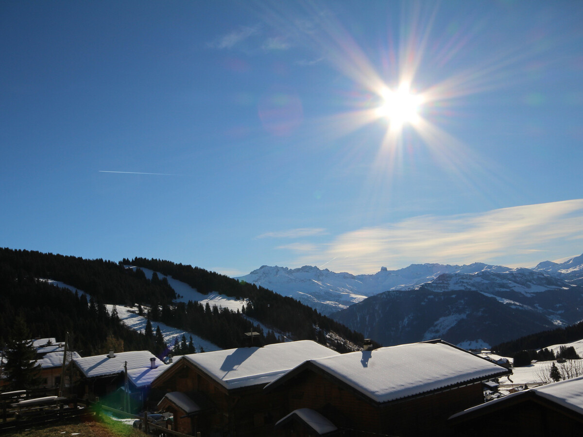 Studio 19 m² vue pistes aux Saisies, balcon, animaux OK - Photo 11