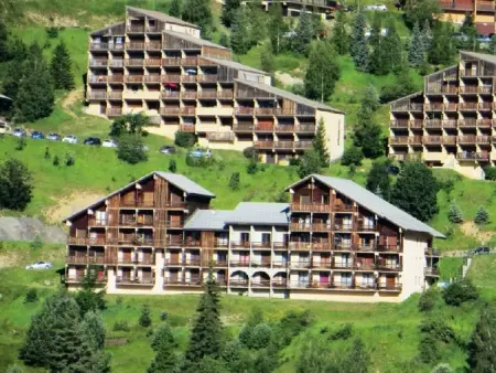 Appart 2 pièces Auris, 300m pistes, balcon montagne : photo 11