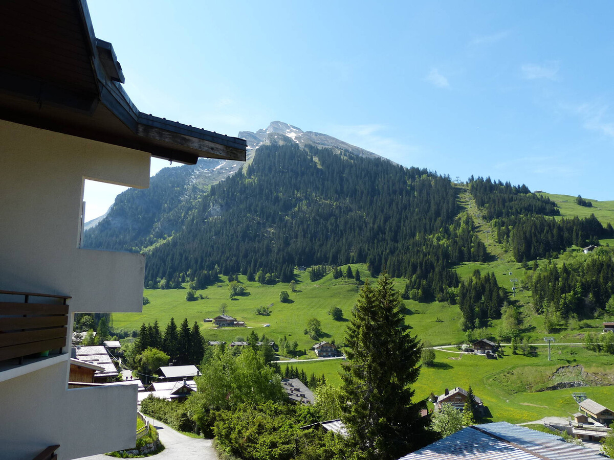 Appartement cosy, pied de piste, cheminée, animaux admis - Photo 12