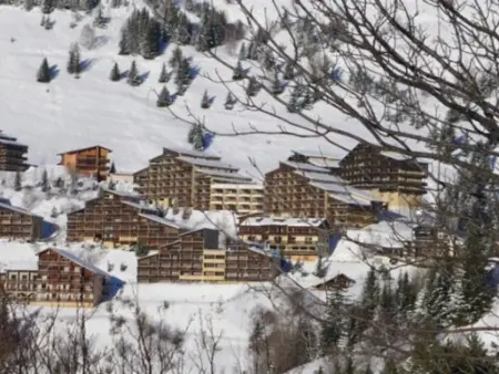 Duplex 8 couchages rénové, vue Glacier de la Meije : photo 15