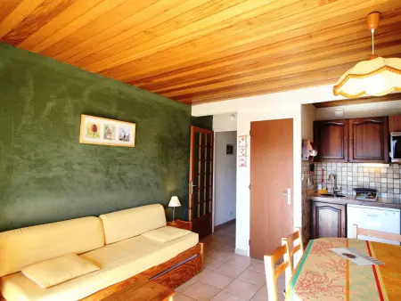 T2 montagne Auris, balcon Écrins et parking gratuit : photo 4