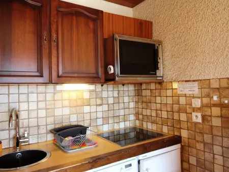T2 montagne Auris, balcon Écrins et parking gratuit : photo 6