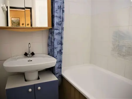 Appartement 2 pièces cabine à 100m des pistes, Auris : photo 11