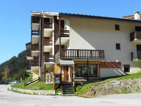 Appartement 2 pièces cabine à 100m des pistes, Auris : photo 14