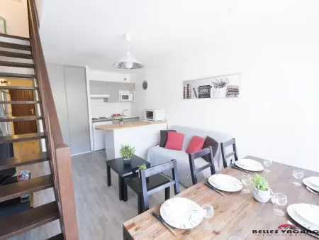 Duplex 8 pers. Saint Lary, navette ski incluse : photo 3