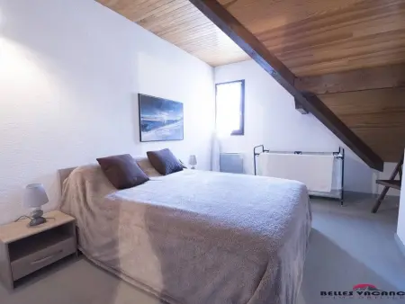 Duplex 8 pers. Saint Lary, navette ski incluse : photo 7