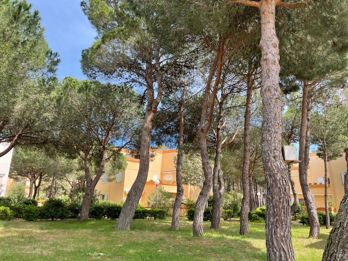 Studio terrasse 200m plage à Argelès-sur-Mer - Photo 10