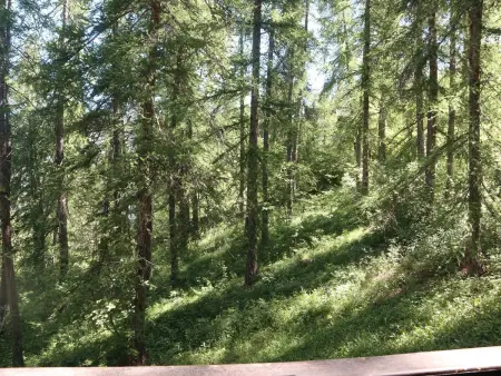 Studio 4 pers. en forêt aux Orres, 250 m du télésiège - Photo 5