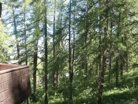 Studio 4 pers. en forêt aux Orres, 250 m du télésiège - Photo 6