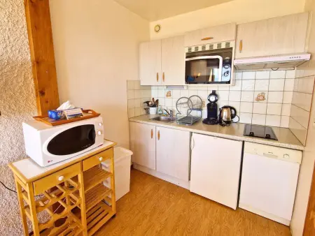 Appartement 4 pers. avec balcon plein Sud, cœur de Saint-Michel-de-Chaillol : photo 6