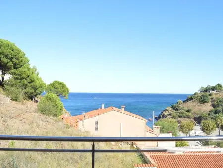 Appartement 2 chambres terrasse mer à Banyuls-sur-Mer : photo 14